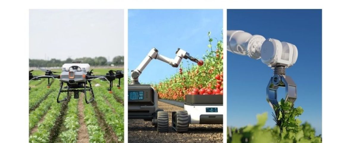 viral post real estate pafos cyprus land agriculture drones